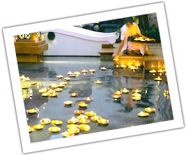 Floating candles pond in Goa