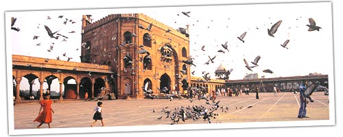 Jama masjid delhi