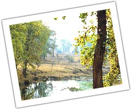 River by kanha