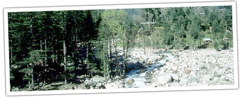 Himalyan River valley