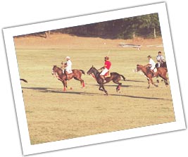 Polo club Jaipur
