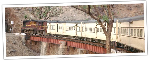 Train traveling Over the Bridge